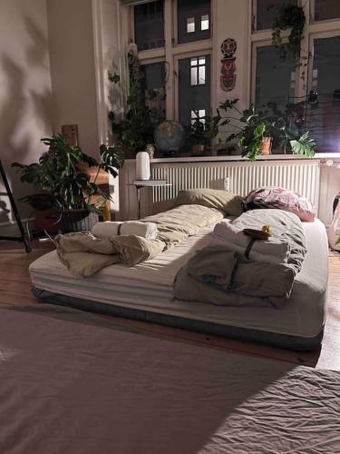 哥本哈根At Lars and Oscars - Vesterbro Apartment的一张床上的枕头