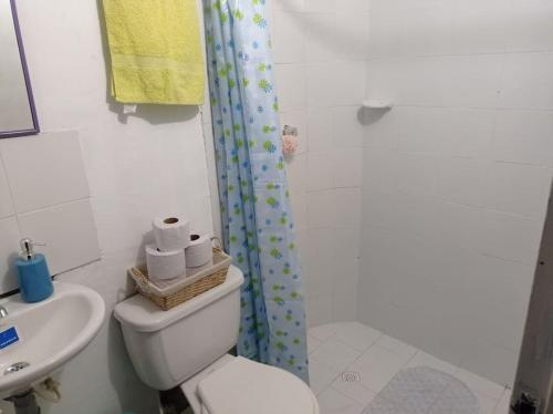 布埃纳文图拉Casa Colinas的浴室配有卫生间、淋浴和盥洗盆。