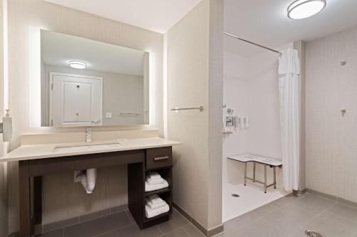 巴拿马城海滩Homewood Suites By Hilton Panama City Beach, Fl的一间带水槽、镜子和淋浴的浴室