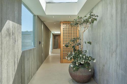 卡梅尔3902 Pacific Zen home的一个大花瓶里种植植物的走廊