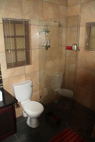 白河White River Country Estate Self Catering Apartment的一间带卫生间和淋浴的浴室