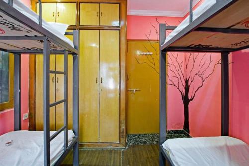 乌代浦Nomadic Hostel的一间设有两张双层床的客房,墙上有一棵树。