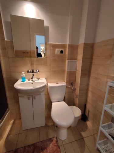 卢布林LittleRoom的一间带卫生间、水槽和镜子的浴室
