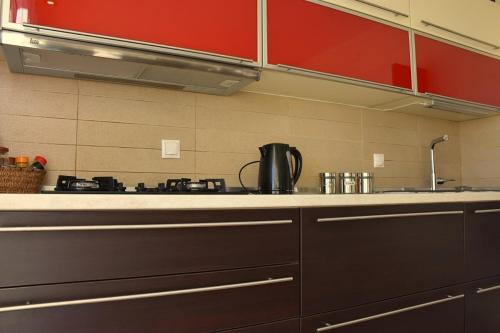 塞萨洛尼基Elisavet apartment的一间厨房,配有红色橱柜和台面