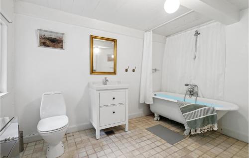 奈斯特韦兹Cozy Home In Nstved With Kitchen的带浴缸、卫生间和盥洗盆的浴室
