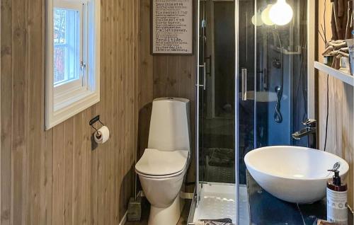 高尔3 Bedroom Stunning Home In Gol的浴室配有卫生间、盥洗盆和淋浴。