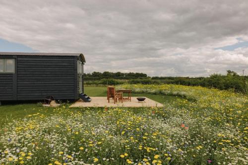 金斯林Barley Shepherd Hut - Snettisham Meadows的花田里带两把椅子和一张桌子的小屋