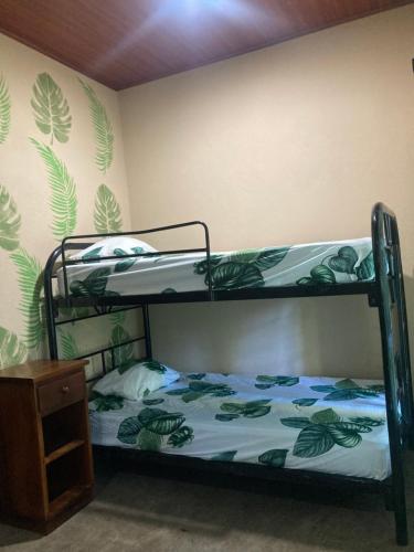 El ViejoJava Jungle的一间卧室配有两张双层床。