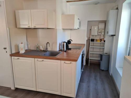 索恩河畔沙隆Joli appartement tout confort的小厨房配有白色橱柜和水槽