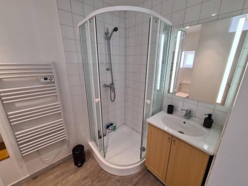 索恩河畔沙隆Joli appartement tout confort的带淋浴和盥洗盆的浴室