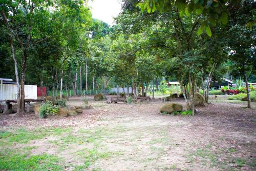铅CAMPSITE CMM YAN KEDAH的田野里种有树木和长凳的公园