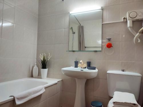 因克勒斯AC Apartaments Vall d'Incles的一间带水槽、卫生间和镜子的浴室