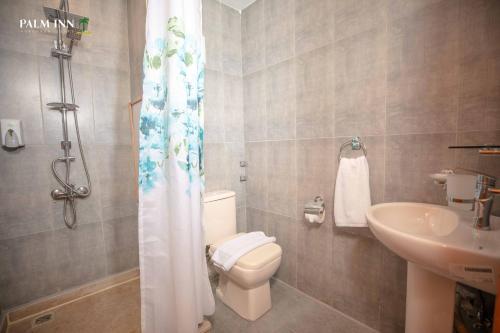 赫尔格达Palm Inn Suites Hotel的一间带卫生间和水槽的浴室