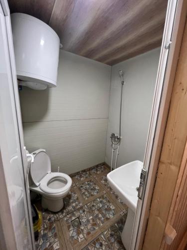 乌树故里Guesthouse Ivas的一间带卫生间和水槽的小浴室