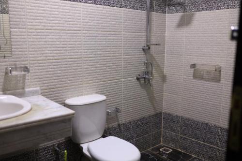 卢克索Jasmine Nile apartments的一间带卫生间和水槽的浴室
