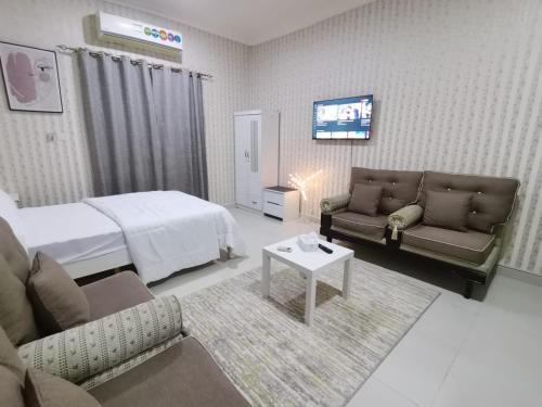 阿吉曼Studio的一间卧室配有一张床、一张沙发和一台电视。