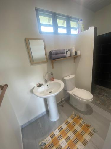 TaravaoTAHITI - Bungalow Toah Toru的浴室配有白色水槽和卫生间。
