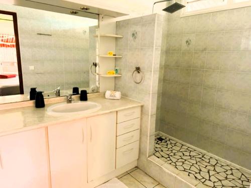 帕皮提TAHITI - Lihei Pool House的一间带水槽和淋浴的浴室