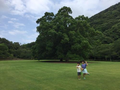 高松INARI - Vacation STAY 87349的两个孩子站在树前的田野里