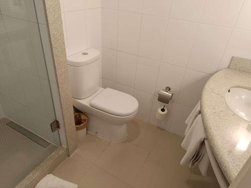 蒙特港ibis Puerto Montt的白色的浴室设有卫生间和水槽。