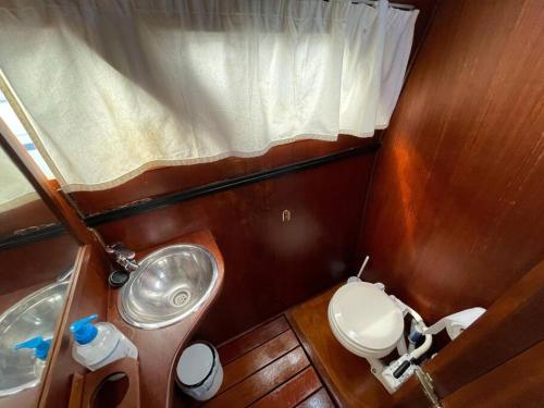 巴塞罗那Barco acogedor - Cosy Boat - Barcelona的一间带卫生间和水槽的小浴室