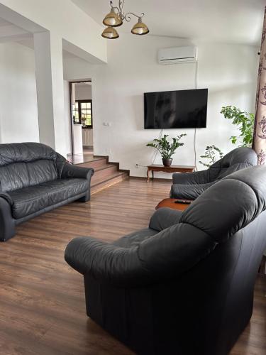 雅西Pensiunea Emelys的客厅配有2张黑色沙发和平面电视。