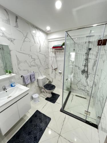 盖尼特拉Luxury Center Town Apartment的带淋浴、卫生间和盥洗盆的浴室