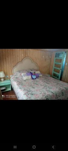奇廉HOSTAL CHILLAN FAMILIAR的一间卧室配有一张带紫色毯子的床