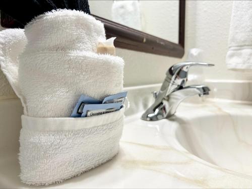 沃尔夫波因特Homestead Inn的浴室水槽上坐着一卷卫生纸