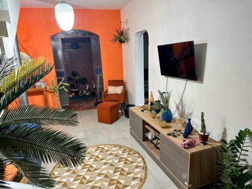 贝洛奥里藏特Espaço Nill的一间带电视和一些植物的客厅