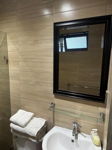 巴拉斯港Hostal y Cabañas Villa Germana的一间带水槽、镜子和卫生间的浴室