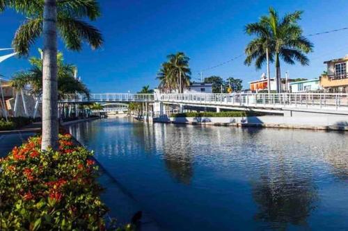 坦皮科Departamento Centro Historico de Tampico的一座棕榈树和鲜花环绕的河流上的桥梁