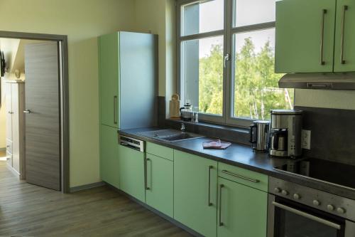 普劳西An der Metow-Ferienpark Hotel的厨房配有绿色橱柜、水槽和窗户