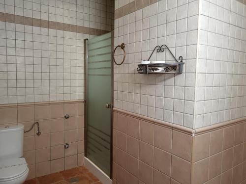 BedmarCortijo el Cercadillo的带淋浴和卫生间的浴室。
