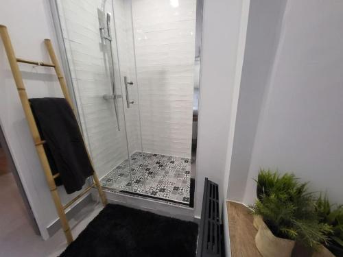 维也纳Ô Bon'Endroit - Appartement Confort - Centre Ville的带淋浴的浴室和玻璃门