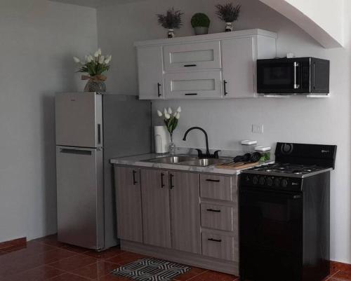 Casa Rosairis的厨房配有水槽和冰箱