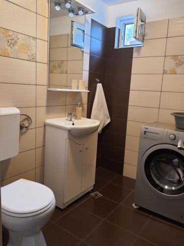 彼得罗沙尼Cabana Maly的浴室配有卫生间水槽和洗衣机。