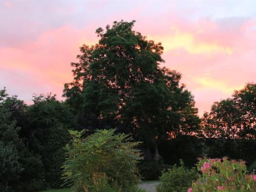 基拉卢Blossom Hill Bed and Breakfast的一组树,背景是日落