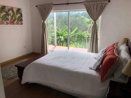 锡帕基拉Soare Country house的一间卧室设有一张大床和一个大窗户