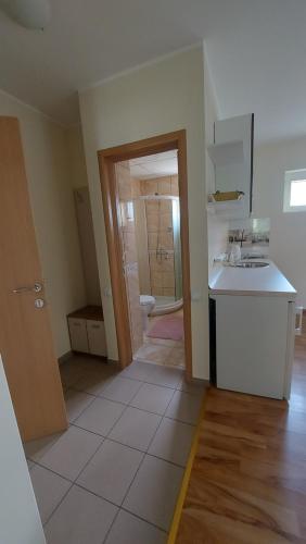 克拉古耶瓦茨敦亚公寓的一个带水槽的空厨房以及一间浴室