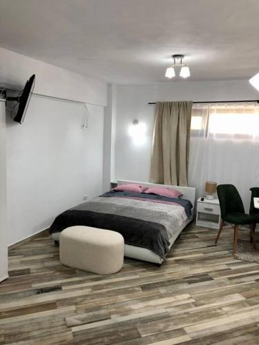 拉姆尼库沃尔恰Garsonieră- Bulevard Dem Rădulescu的卧室铺有木地板,配有一张床和一把椅子