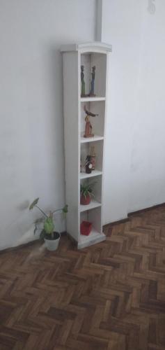 布宜诺斯艾利斯Depto La Boca的一间拥有白色架子的房间,上面有盆栽植物
