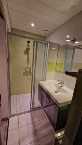 博瓦gites 2 beauvoir的带淋浴、盥洗盆和淋浴的浴室