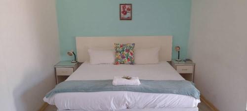 布拉瓦约Tshulu Tsha Nabe B&B的一间卧室配有一张带2个床头柜的大床