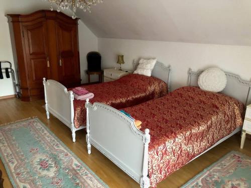 BrüggDream apartment in nice villa near forest的一间带两张床的卧室和地毯