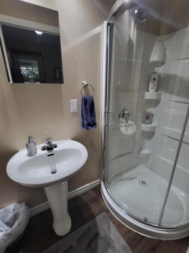 尼亚加拉瀑布Your Oasis in Niagara Falls Canada的一间带水槽和淋浴的浴室