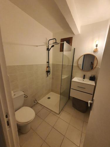 法兰西堡Un Souffle de Vacances的浴室配有卫生间、淋浴和盥洗盆。