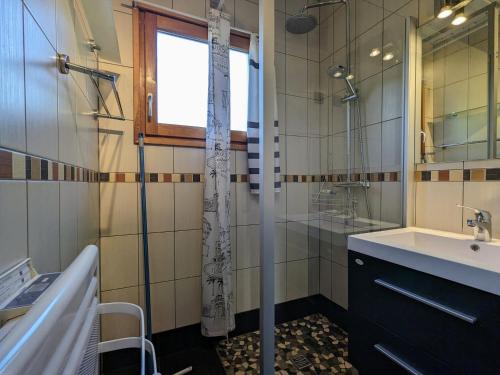 Ban-sur-Meurthe-ClefcyGîte Ban-sur-Meurthe-Clefcy, 3 pièces, 4 personnes - FR-1-589-150的带淋浴、盥洗盆和镜子的浴室