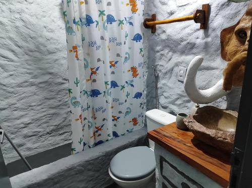 布埃诺布兰当Casa dos Flinstones, Vila Mágica的一间带卫生间和淋浴帘的浴室