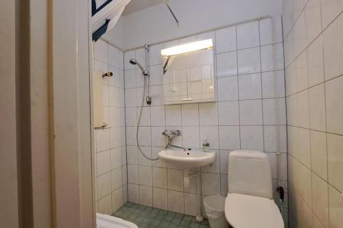 耶姆赛Yksiö lähellä Himosta.的一间带卫生间和水槽的浴室